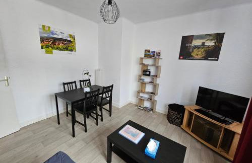 Le nid des cigognes à Colmar centre, proche gare, marchés de Noël - Foto 10