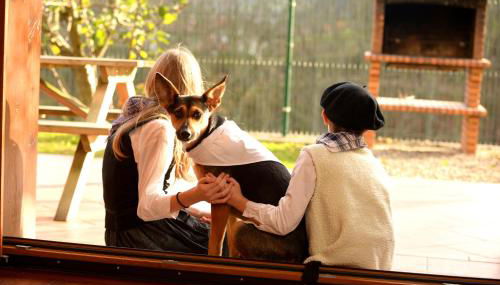 Casa Angiz etxea - Foto 5, Garden view