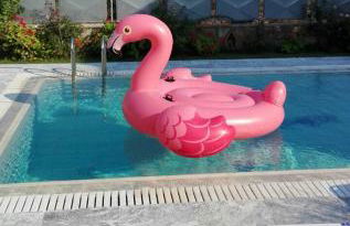 Dimitris Vaso’s Villa with Sea and Mountain View! - Foto 47