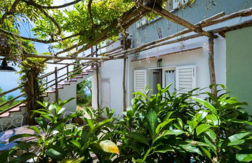 Agriturismo Fattoria Terranova - Foto 78