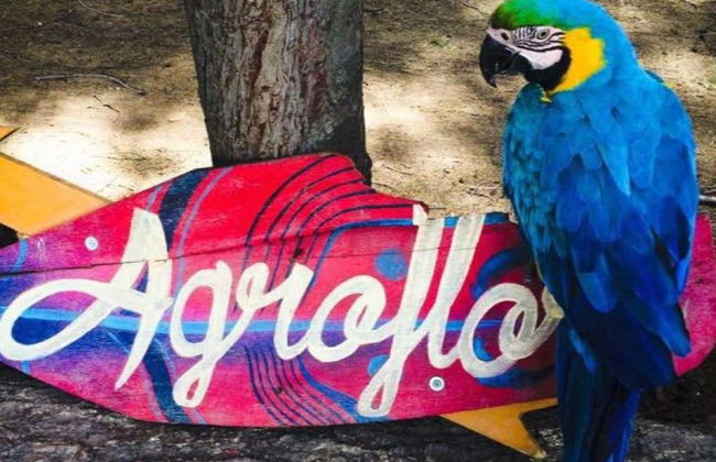 Excursión a Agroflori y Villa Albina - Foto 2