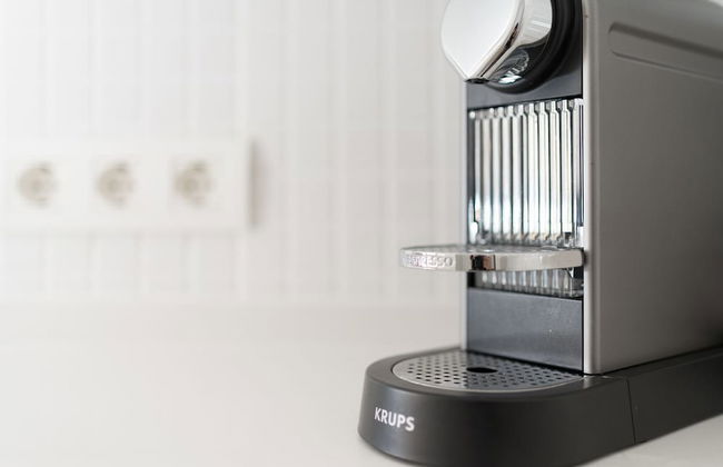 iloftmalaga Fernando el Católico - Foto 27