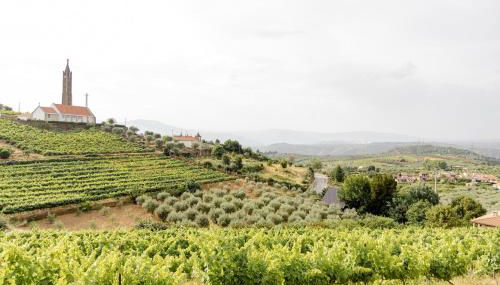 Casa das Nogueiras - Foto 2