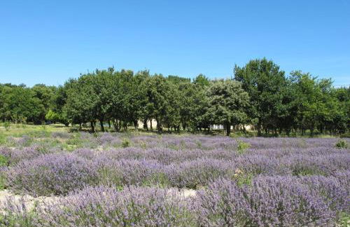 Holiday Home La Grive by Interhome - Foto 74