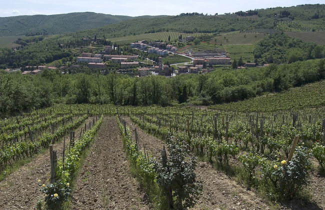 Il Colombaio di Cencio - Foto 47