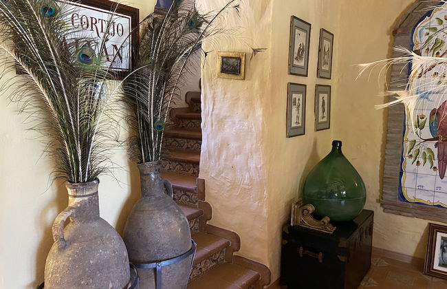 Cortijo rural en Archidona - Photo 3