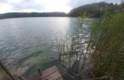 Mirabellenhof-Fewo mit Terrasse - Foto 15