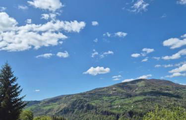 Gite le petit Ely - Photo 29