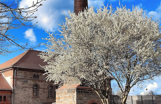 TinyHousebeiDresden unser größtes winziges Häuschen für bis zu 7 Personen, Kaminofen, große Terrasse - Nähe Sächsische Schweiz - Foto 22