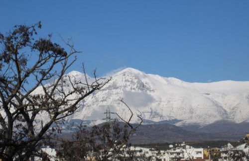 Residence Luisa - Foto 15