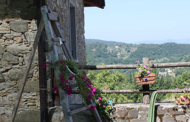 Le Chianine dei Tognoli - Foto 20