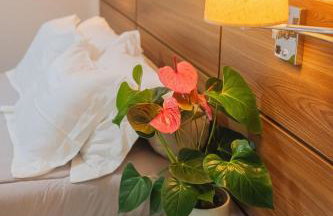 Sua casa na Bahia!! - Jardim Apipema - Apartamento completo! - Foto 76