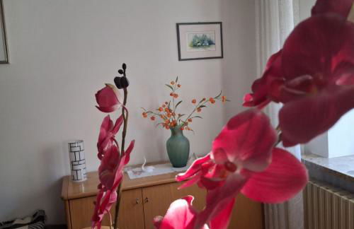 La Casa dei Nonni - Foto 21