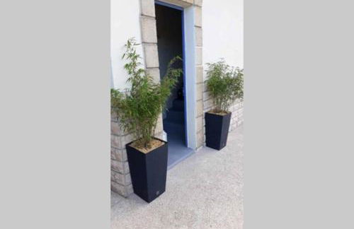 Le Phoenix 30 m2 - lumineux et bien agencé - Foto 10