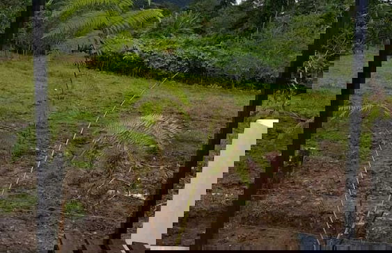 House of Views - Foto 18