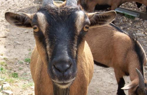 Schnurrenhof - Foto 37