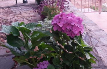 Casa El Peral - Foto 43