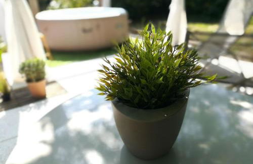 Le Patio 4*. SPA, jardin, piscine en provence, proche Grignan - Foto 6