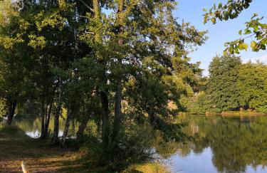 Cosy Cottage on the Lake - Foto 21