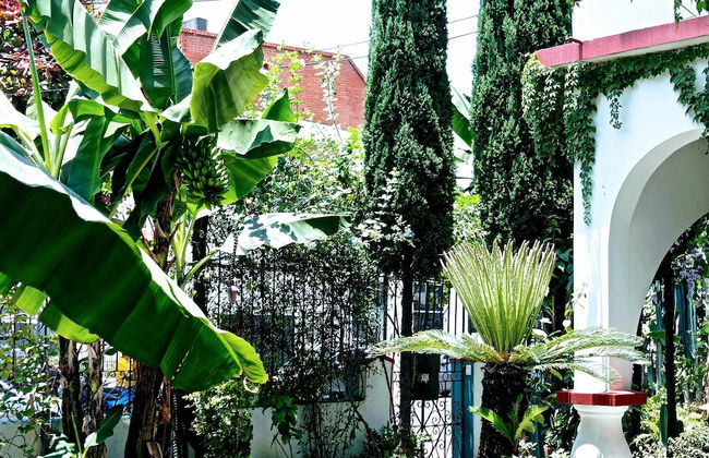 Hotel Boutique Los Remansos - Photo 25