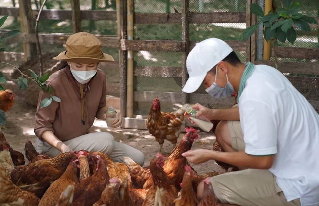 Eco Eyes Village - Foto 35