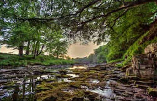 The Little House - Photo 12