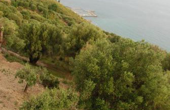 Santo Mercurio Country House - Foto 80