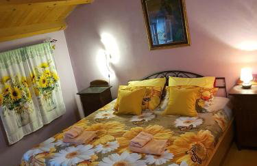 App Bonić - Foto 30