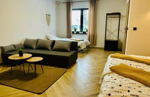 GÓRSKA CISZA - Duży, komfortowy, wyjątkowy Apartament - Foto 28