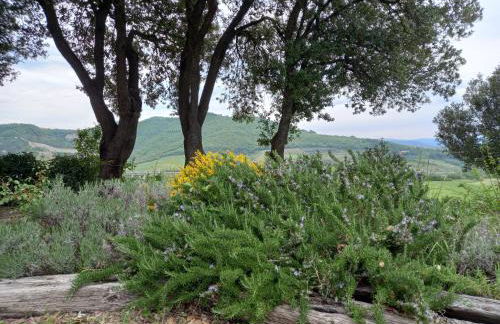 Agriturismo Riparossa - Foto 14