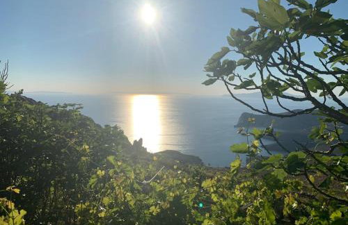 spiti Marcos - Foto 41