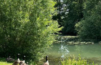 la Belle Seine - Foto 9