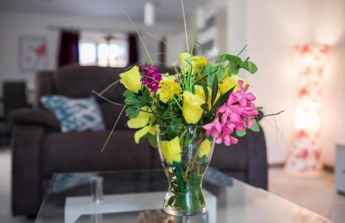 Apartments MARIO - Foto 19