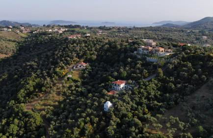 Captain's Villa - Foto 53