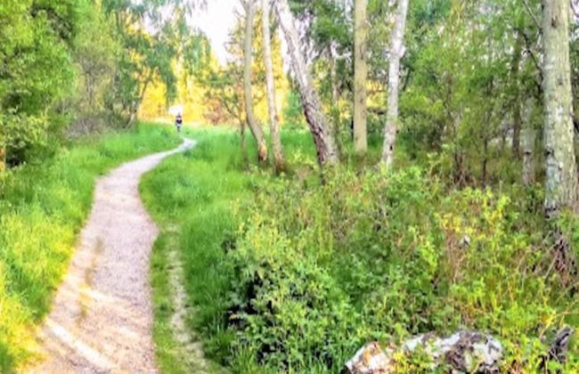 6 Person Holiday Home in Graested-by Traum - Foto 12