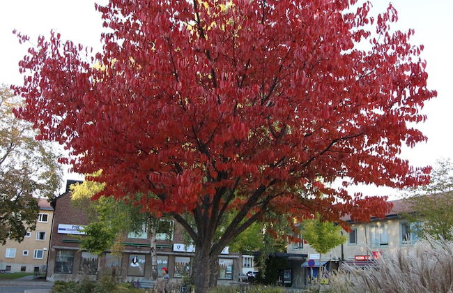 The Sundeck-a romantic apt in Tallkrogen - Photo 14