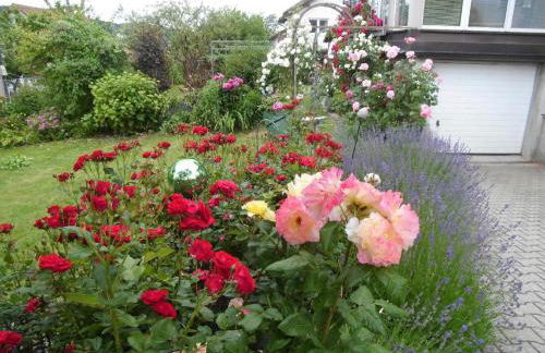 Ferienwohnung "Gaby" - Foto 17