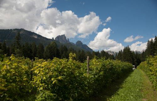 Agriturismo Soreie - Farmstay - Foto 43