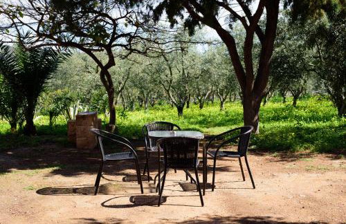 Eleni's House - Photo 8