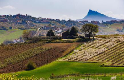 Ca' Pellicciano 8, Emma Villas - Foto 112