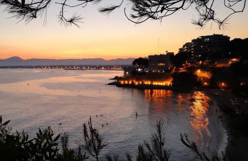 AGUILA DORADA - Foto 20