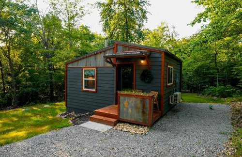 Off-Grid Cabin Surrounded by Trees in Pineville, Missouri - Foto 1