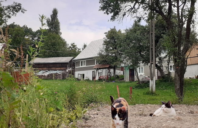 Room in Guest Room - Healthy Retreat Holiday in Mountain - Foto 64