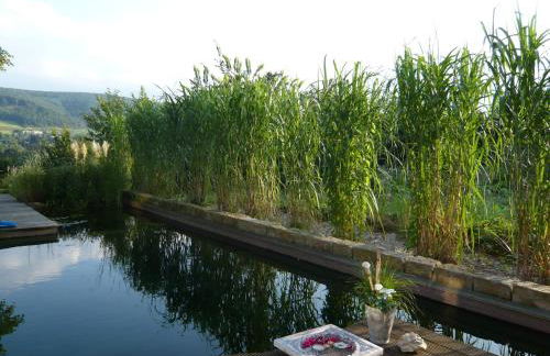 Ferienwohnung Wintergarten in Bad Pyrmont - Foto 23