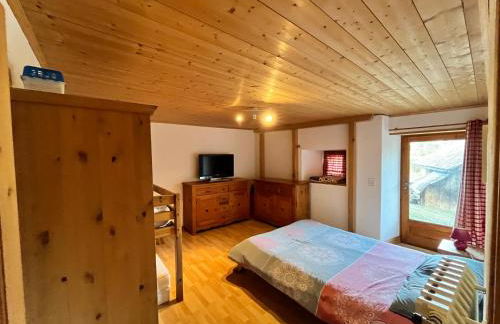 Appartement spacieux proche des télécabines et du centre ville avec jardin privé - Foto 21