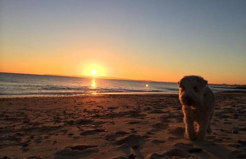 Ashdale Cottage - Foto 56