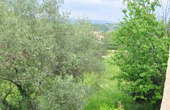 Spacious apartment QuAdria near Motovun - Foto 46