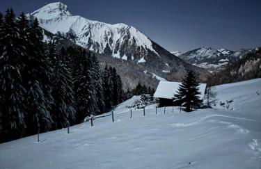 Charming, cosy chalet nestled in a breathtaking surrounding with spectacular, stunning mountain views - Foto 38