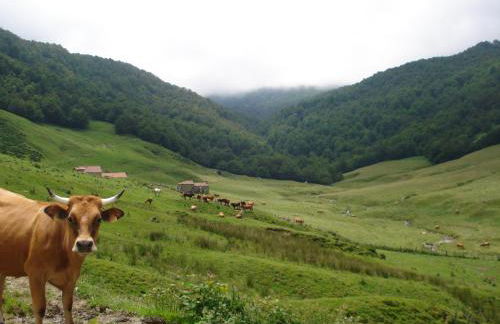 Casa Abedul - Foto 31