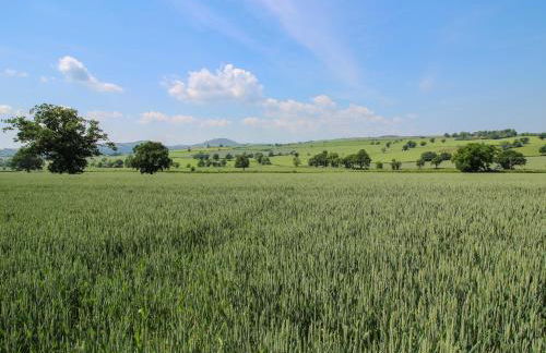 The Olde Cow House - Foto 60